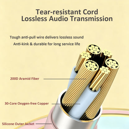Type-C Wired In-Ear Earphones, Retro Metal Wired Headphones with Inline Mic & Volume Control